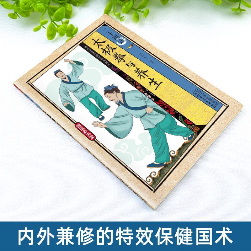 24 Stili di Tai Chi ed Eserciz - Health & Wellness Quotes Inspirational recensione e prezzo